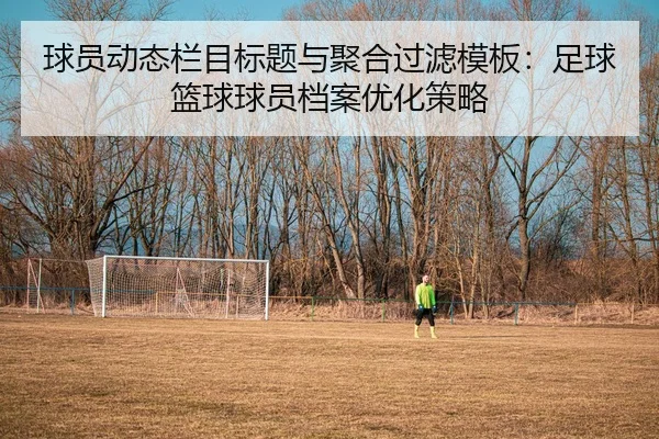 球员动态栏目标题与聚合过滤模板：足球篮球球员档案优化策略