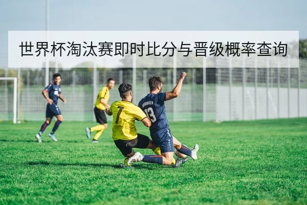 世界杯淘汰赛即时比分与晋级概率查询